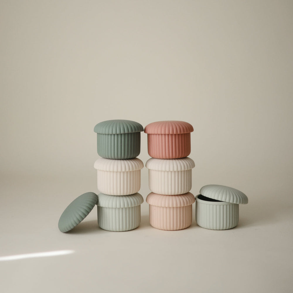 
                  
                    Silicone Baby Food Containers (Pinks Combo)
                  
                
