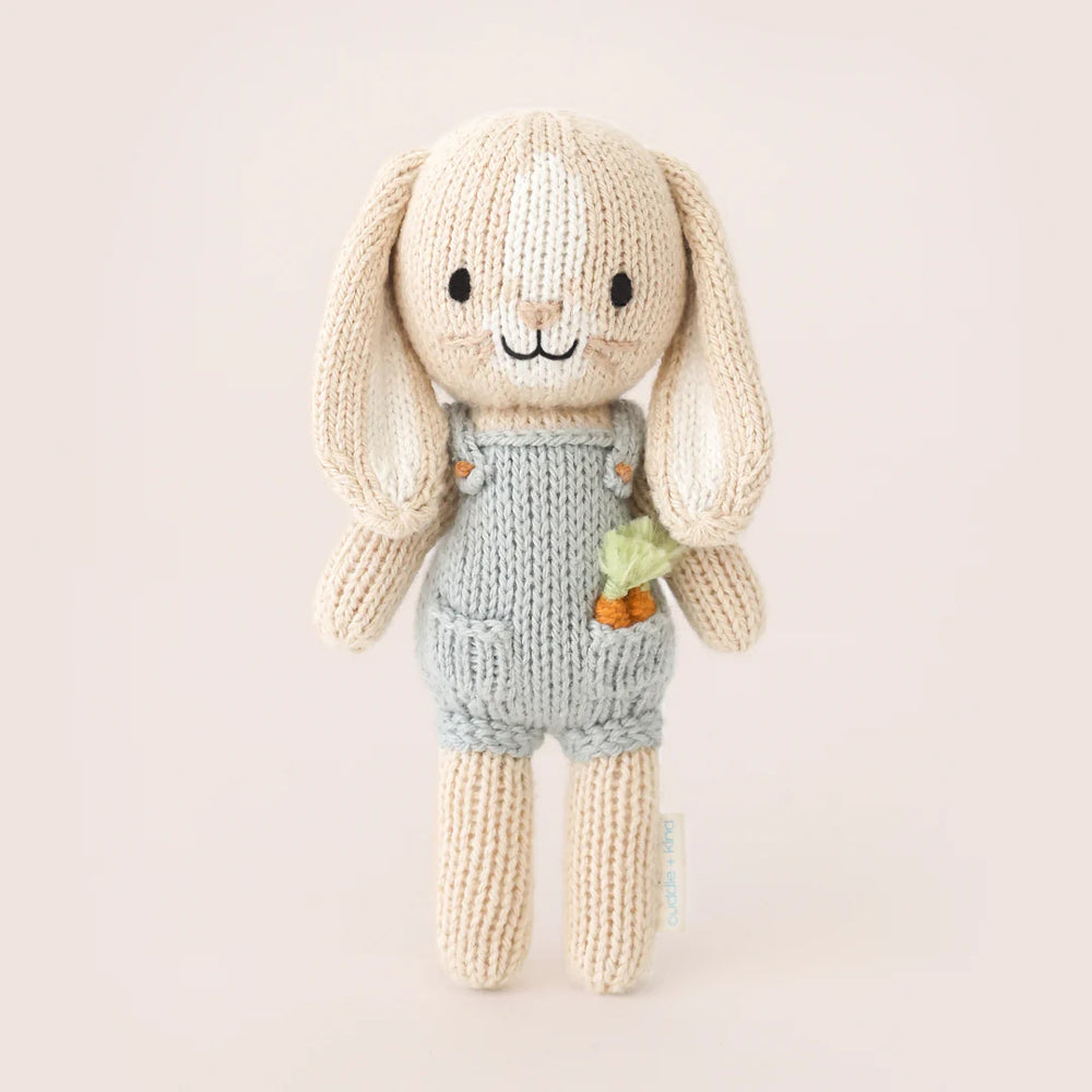 
                  
                    Tiny Henry the bunny
                  
                