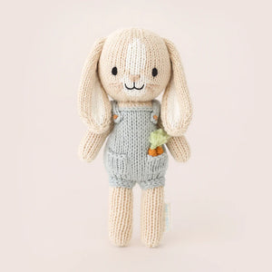 
                  
                    Tiny Henry the bunny
                  
                