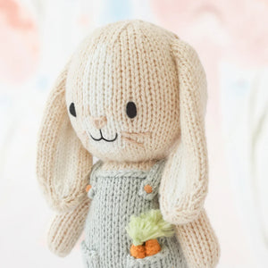 
                  
                    Tiny Henry the bunny
                  
                