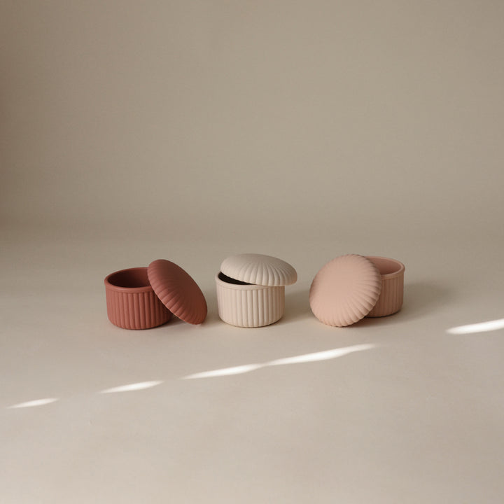 
                  
                    Silicone Baby Food Containers (Pinks Combo)
                  
                