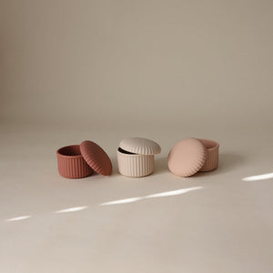 
                  
                    Silicone Baby Food Containers (Pinks Combo)
                  
                
