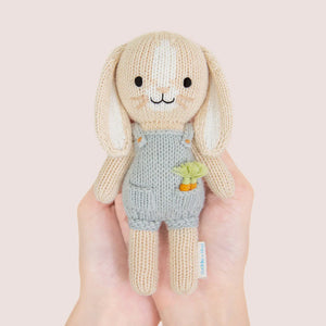 
                  
                    Tiny Henry the bunny
                  
                