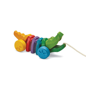 
                  
                    Rainbow Alligator
                  
                
