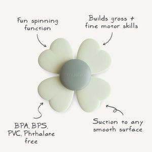 
                  
                    Lucky Suction Spinner Toy
                  
                