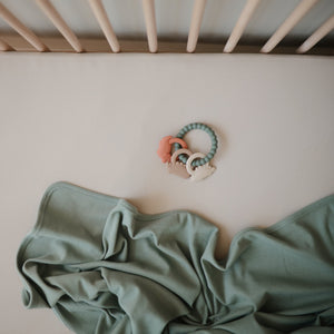 
                  
                    Dino Teething Ring
                  
                
