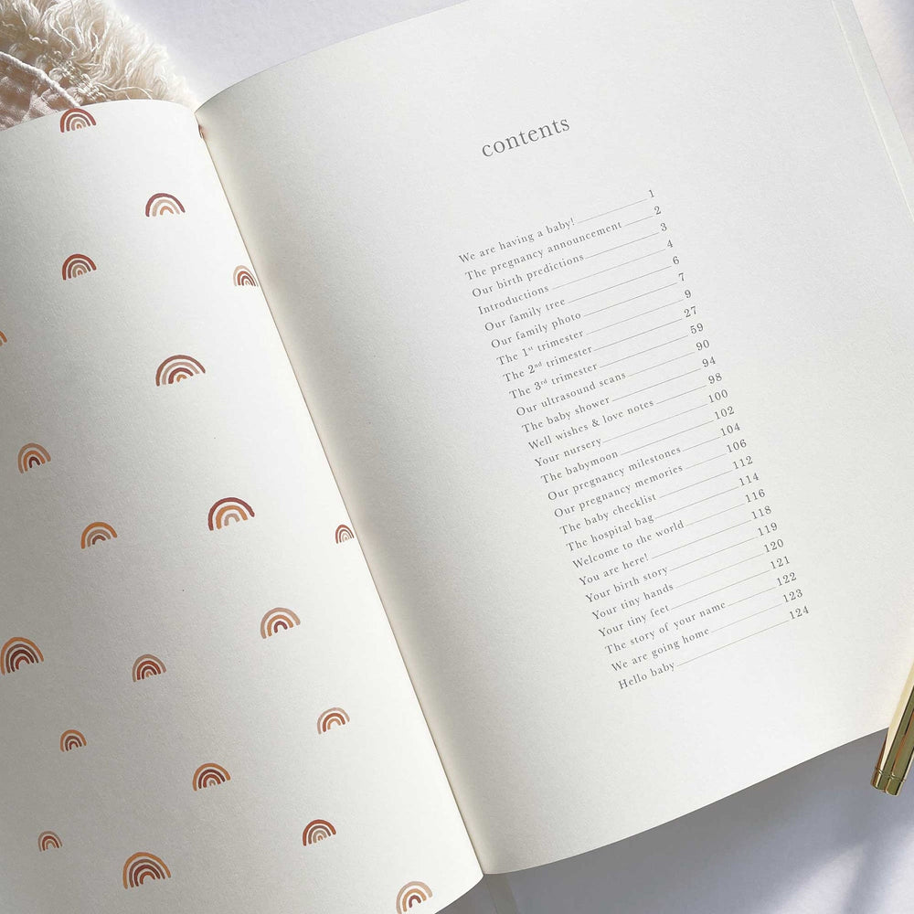 
                  
                    My Pregnancy Journal - Rainbow with Gilded Edges
                  
                