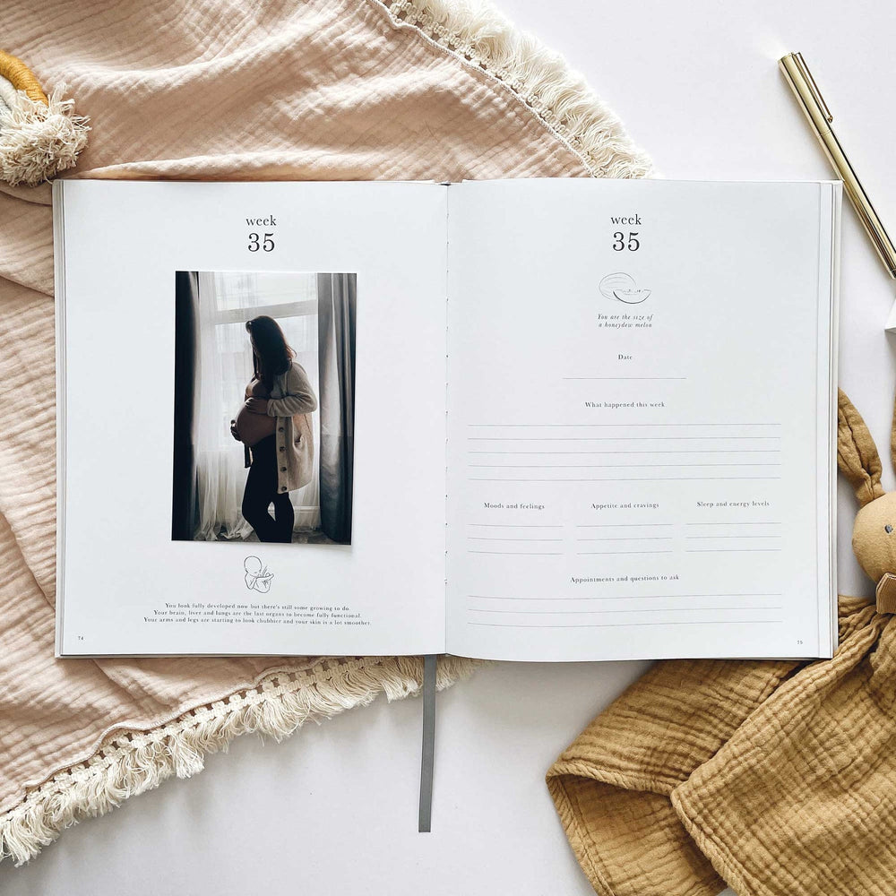 
                  
                    My Pregnancy Journal - Pearl with Gilded Edges
                  
                