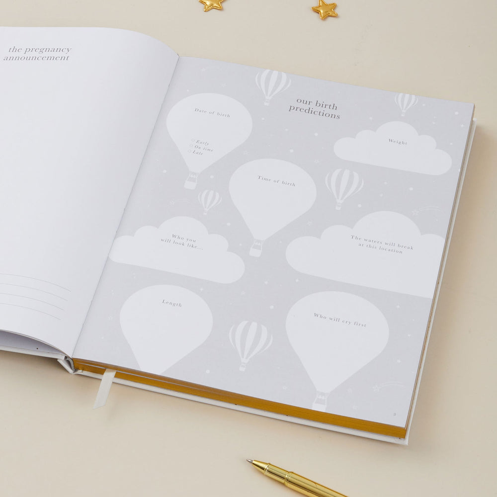 
                  
                    My Pregnancy Journal - Pearl with Gilded Edges
                  
                