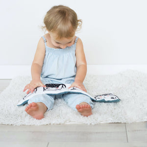 
                  
                    Friendly Faces in the Forest, Baby's First Soft Book
                  
                
