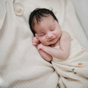 
                  
                    Muslin Swaddle Blanket Organic Cotton (Dinosaur)
                  
                