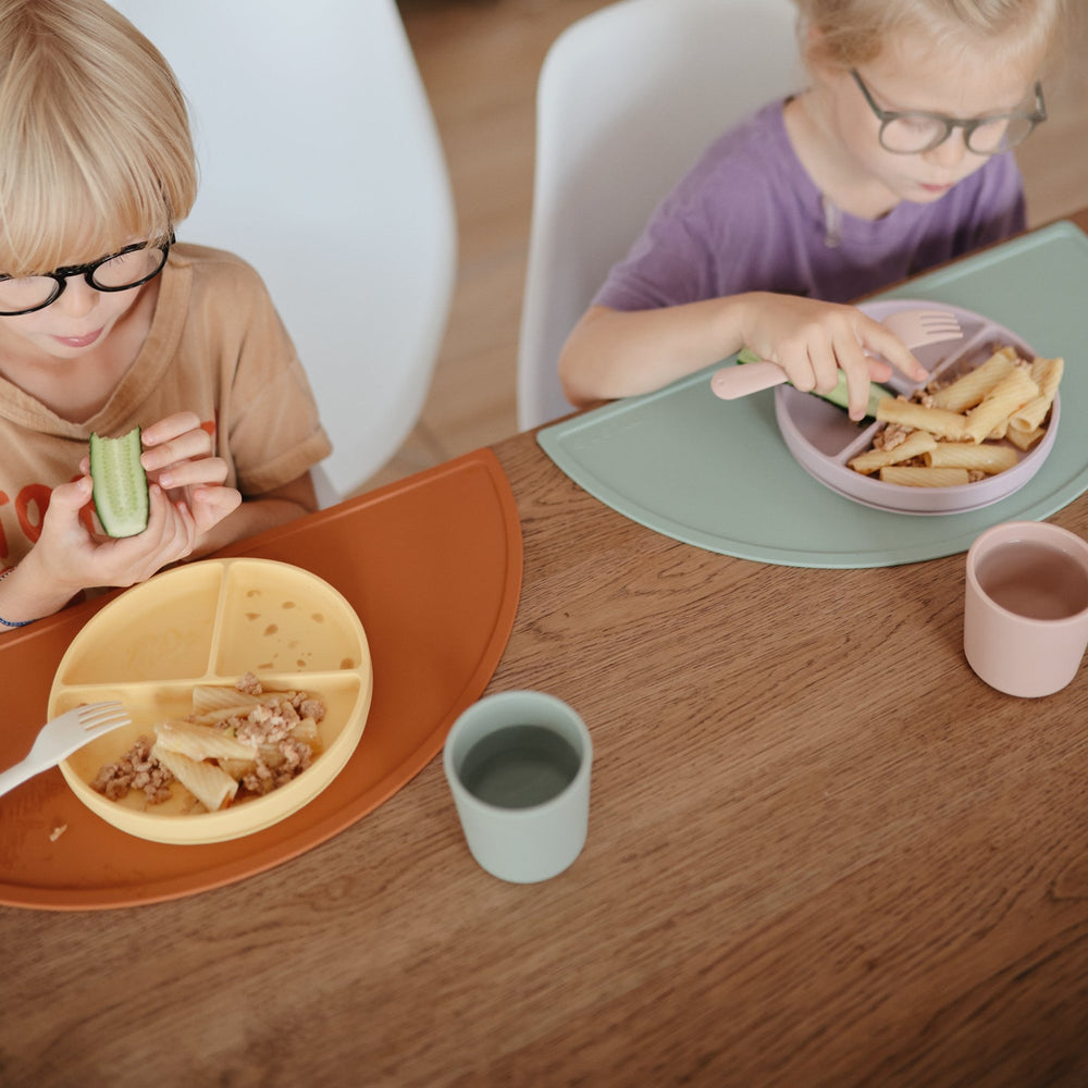
                  
                    Silicone Suction Plate (Soft Lilac)
                  
                
