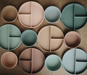 
                  
                    Silicone Suction Plate (Blush)
                  
                