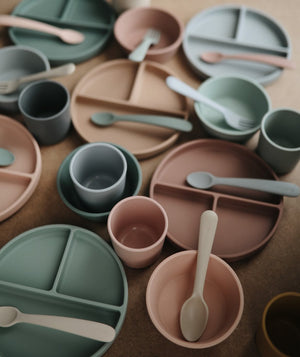 
                  
                    Silicone Suction Plate (Natural)
                  
                
