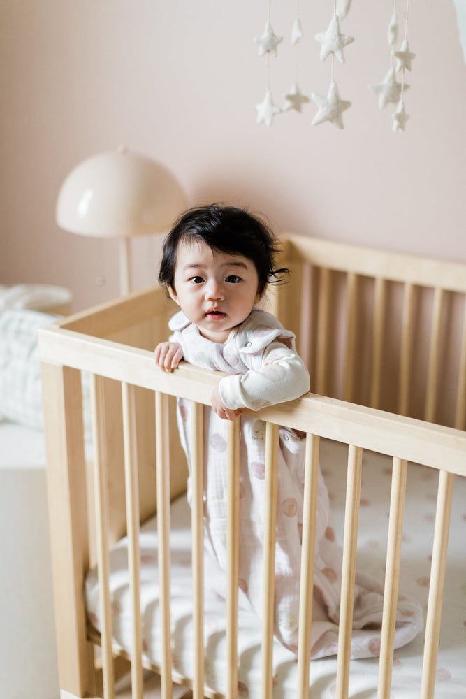 
                  
                    1.7 TOG Sleep Bag (Luna Dawn)
                  
                