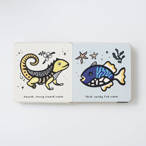 
                  
                    Touch and Feel: Scales
                  
                