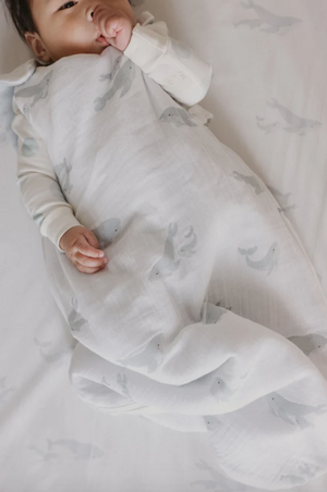 
                  
                    1.7 TOG Sleep Bag (Follow Me Whale)
                  
                
