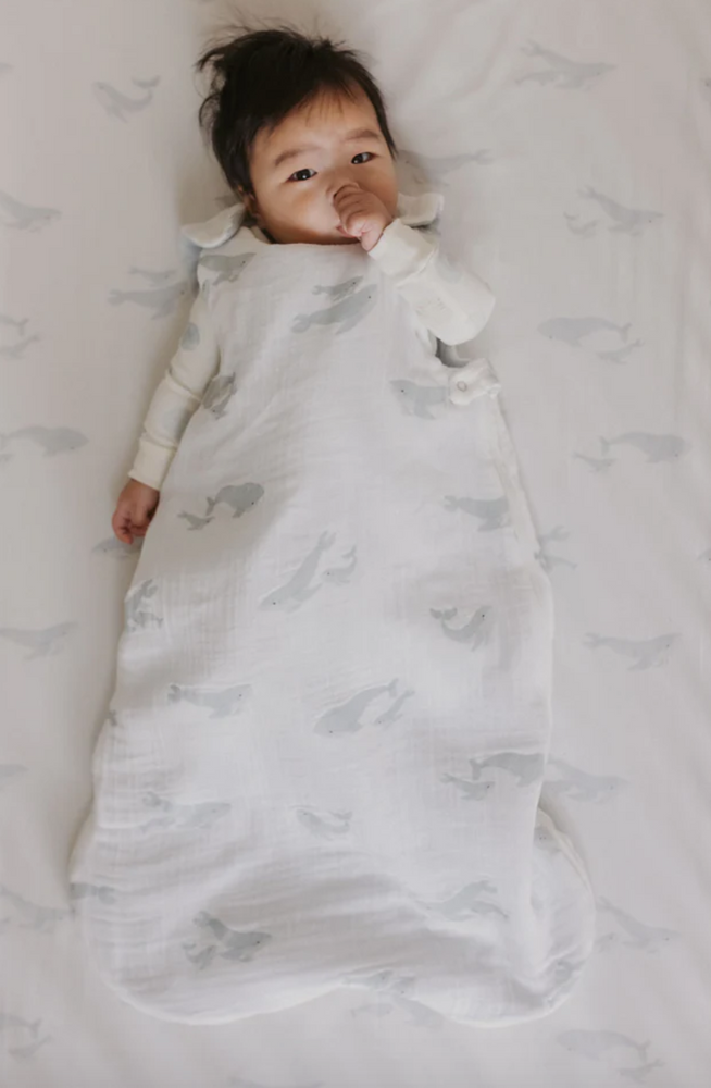 
                  
                    1.7 TOG Sleep Bag (Follow Me Whale)
                  
                