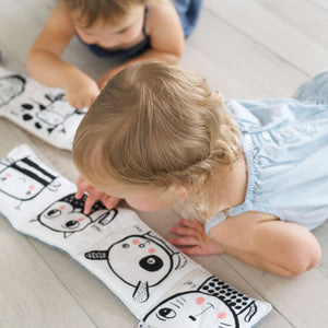 
                  
                    Friendly Faces in the Garden, Baby's First Soft Book
                  
                